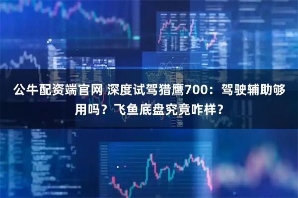 公牛配资端官网 深度试驾猎鹰700：驾驶辅助够用吗？飞鱼底盘究竟咋样？